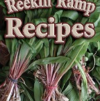 Ramps2010