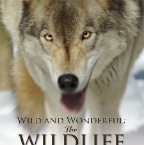 WildlifeCover